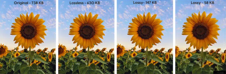 Lossy vs Lossless Compression